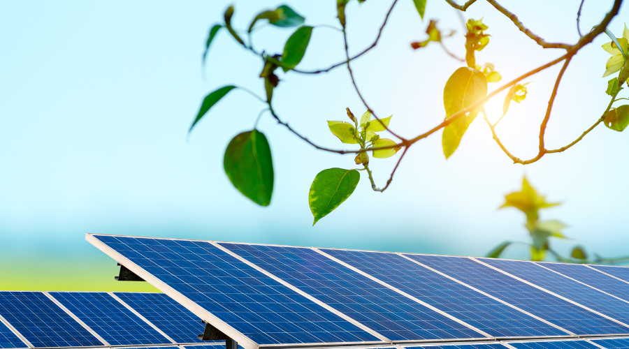 napelem pályázat az Elengo-val